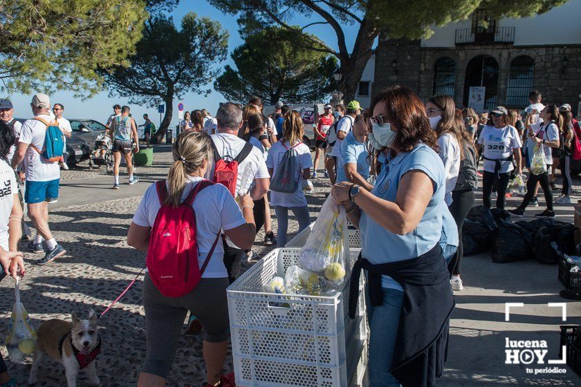 GALERÍA: Corriendo o andando: 800 personas en la IV Carrera de Subida al Real Santuario de María Stma. de Araceli que se han llevado Alberto Casas y Fátima Ouhaddou