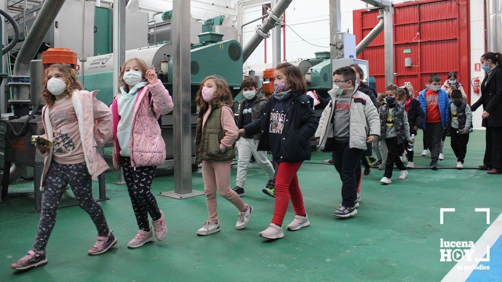  Alumnos del CEIP Barahona de Soto en su recorrido por la Cooperativa de Lucena 