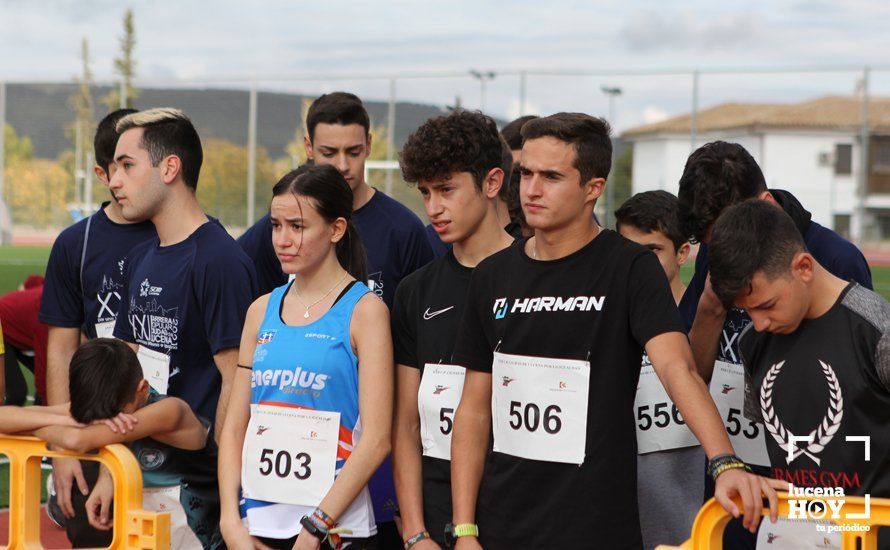 GALERÍA III: XXII Carrera Popular Ciudad de Lucena: Las fotos de la carrera cadete y juvenil y la reservada a personas con discapacidad GALERÍA III: XXII Carrera Popular Ciudad de Lucena: Las fotos de la carrera cadete y juvenil y la reservada a personas con discapacidad