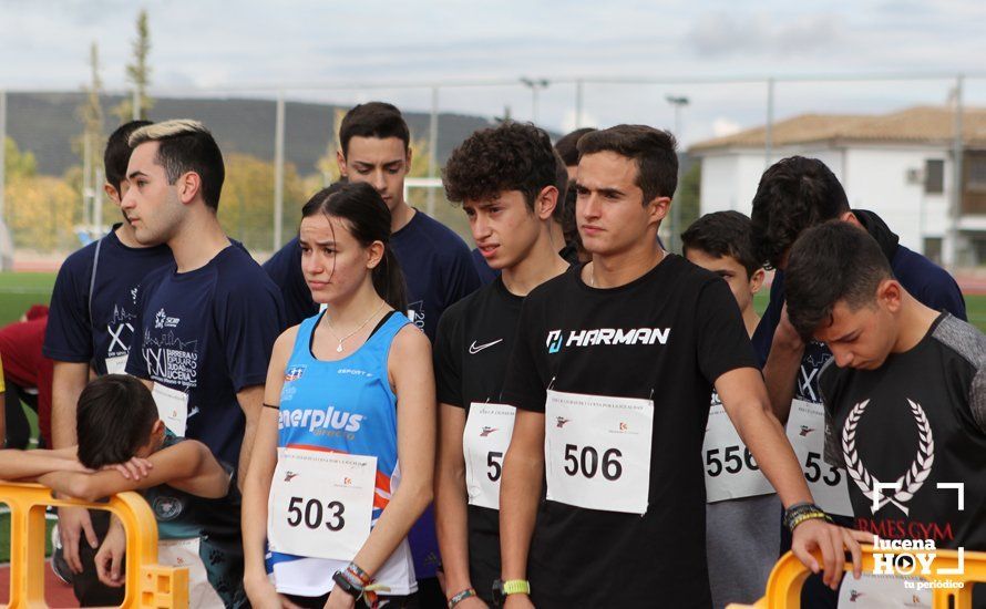 GALERÍA III: XXII Carrera Popular Ciudad de Lucena: Las fotos de la carrera cadete y juvenil y la reservada a personas con discapacidad