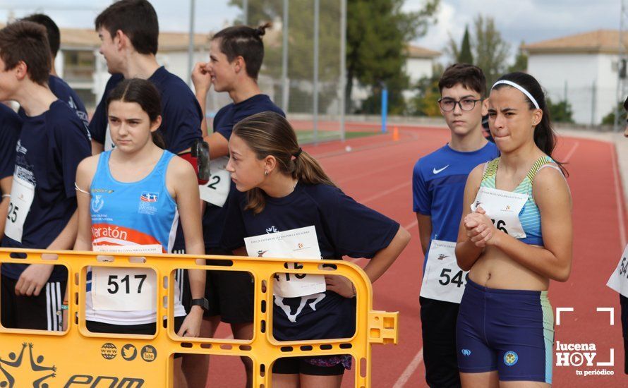 GALERÍA III: XXII Carrera Popular Ciudad de Lucena: Las fotos de la carrera cadete y juvenil y la reservada a personas con discapacidad GALERÍA III: XXII Carrera Popular Ciudad de Lucena: Las fotos de la carrera cadete y juvenil y la reservada a personas con discapacidad