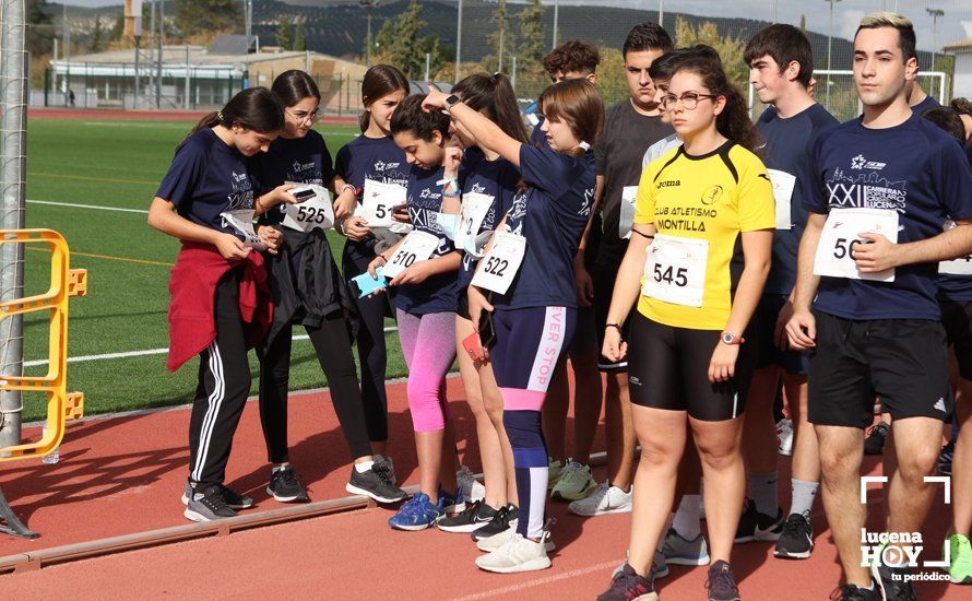 GALERÍA III: XXII Carrera Popular Ciudad de Lucena: Las fotos de la carrera cadete y juvenil y la reservada a personas con discapacidad