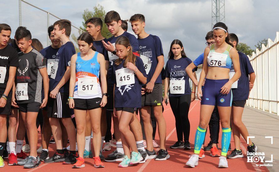 GALERÍA III: XXII Carrera Popular Ciudad de Lucena: Las fotos de la carrera cadete y juvenil y la reservada a personas con discapacidad