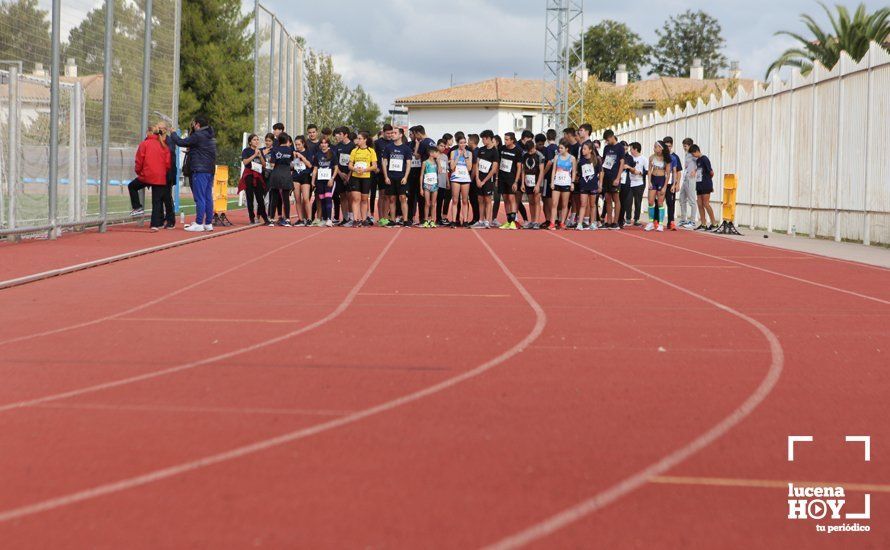 GALERÍA III: XXII Carrera Popular Ciudad de Lucena: Las fotos de la carrera cadete y juvenil y la reservada a personas con discapacidad GALERÍA III: XXII Carrera Popular Ciudad de Lucena: Las fotos de la carrera cadete y juvenil y la reservada a personas con discapacidad