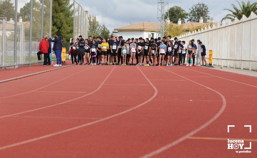 GALERÍA III: XXII Carrera Popular Ciudad de Lucena: Las fotos de la carrera cadete y juvenil y la reservada a personas con discapacidad