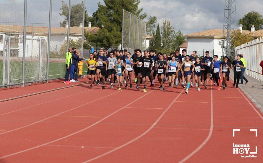 GALERÍA III: XXII Carrera Popular Ciudad de Lucena: Las fotos de la carrera cadete y juvenil y la reservada a personas con discapacidad