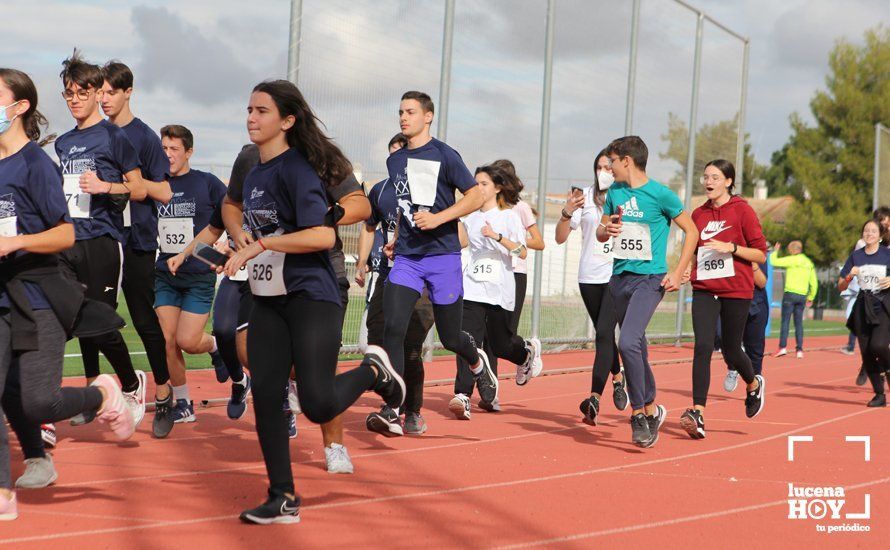 GALERÍA III: XXII Carrera Popular Ciudad de Lucena: Las fotos de la carrera cadete y juvenil y la reservada a personas con discapacidad