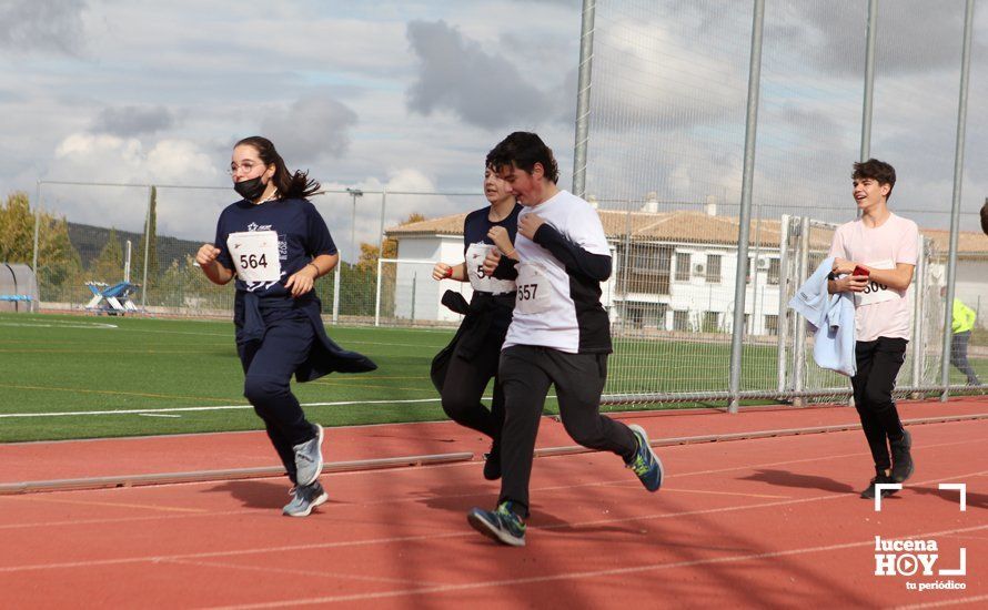 GALERÍA III: XXII Carrera Popular Ciudad de Lucena: Las fotos de la carrera cadete y juvenil y la reservada a personas con discapacidad