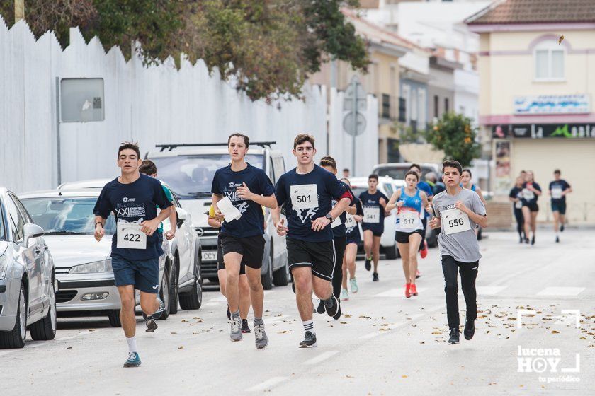 GALERÍA III: XXII Carrera Popular Ciudad de Lucena: Las fotos de la carrera cadete y juvenil y la reservada a personas con discapacidad