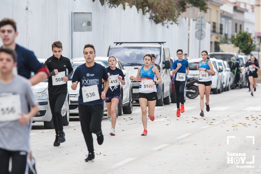 GALERÍA III: XXII Carrera Popular Ciudad de Lucena: Las fotos de la carrera cadete y juvenil y la reservada a personas con discapacidad