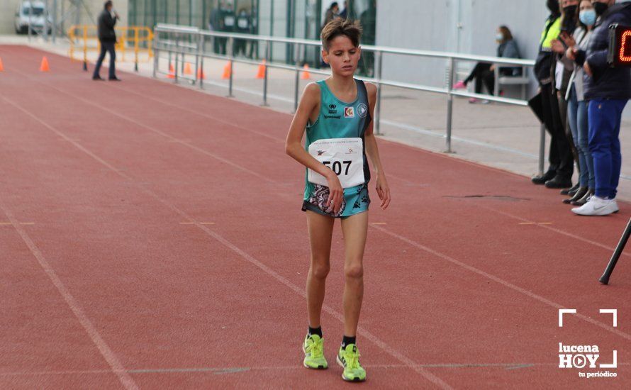 GALERÍA III: XXII Carrera Popular Ciudad de Lucena: Las fotos de la carrera cadete y juvenil y la reservada a personas con discapacidad