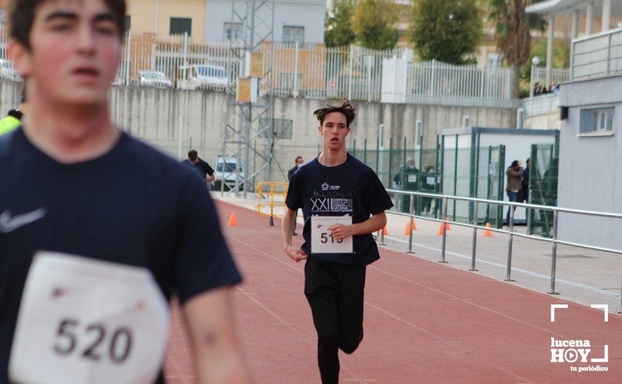 GALERÍA III: XXII Carrera Popular Ciudad de Lucena: Las fotos de la carrera cadete y juvenil y la reservada a personas con discapacidad