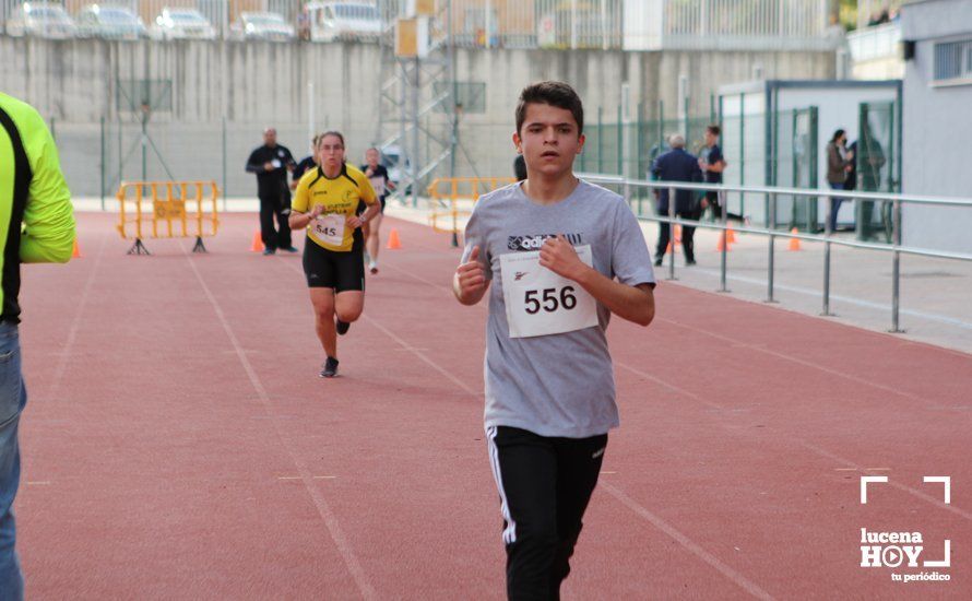 GALERÍA III: XXII Carrera Popular Ciudad de Lucena: Las fotos de la carrera cadete y juvenil y la reservada a personas con discapacidad