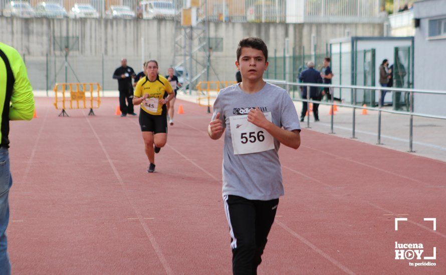 GALERÍA III: XXII Carrera Popular Ciudad de Lucena: Las fotos de la carrera cadete y juvenil y la reservada a personas con discapacidad GALERÍA III: XXII Carrera Popular Ciudad de Lucena: Las fotos de la carrera cadete y juvenil y la reservada a personas con discapacidad