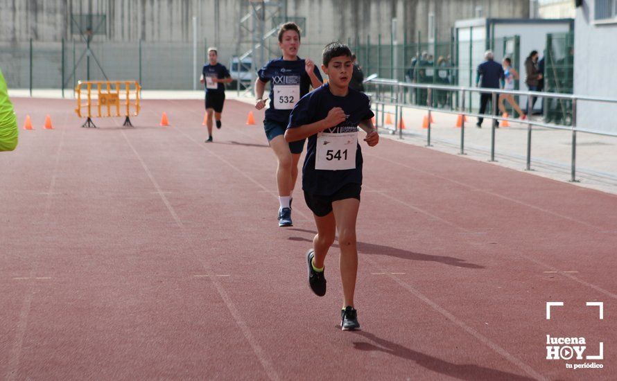 GALERÍA III: XXII Carrera Popular Ciudad de Lucena: Las fotos de la carrera cadete y juvenil y la reservada a personas con discapacidad