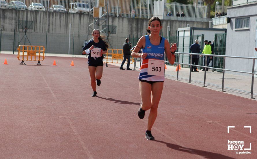 GALERÍA III: XXII Carrera Popular Ciudad de Lucena: Las fotos de la carrera cadete y juvenil y la reservada a personas con discapacidad