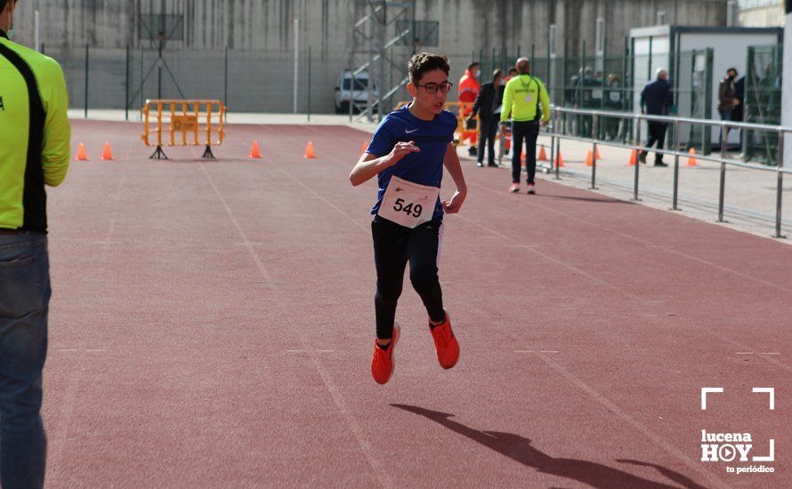 GALERÍA III: XXII Carrera Popular Ciudad de Lucena: Las fotos de la carrera cadete y juvenil y la reservada a personas con discapacidad GALERÍA III: XXII Carrera Popular Ciudad de Lucena: Las fotos de la carrera cadete y juvenil y la reservada a personas con discapacidad