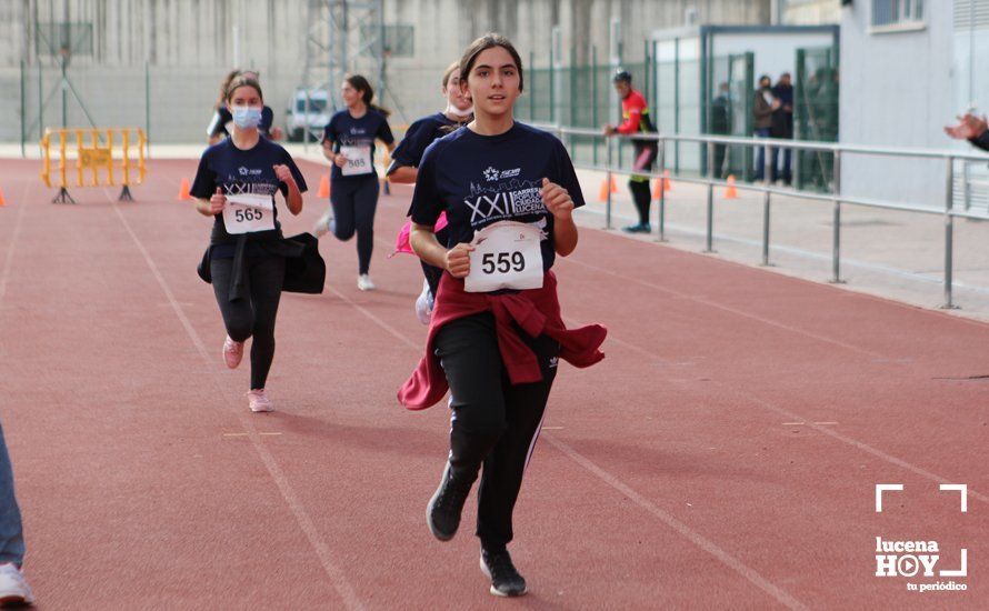 GALERÍA III: XXII Carrera Popular Ciudad de Lucena: Las fotos de la carrera cadete y juvenil y la reservada a personas con discapacidad GALERÍA III: XXII Carrera Popular Ciudad de Lucena: Las fotos de la carrera cadete y juvenil y la reservada a personas con discapacidad