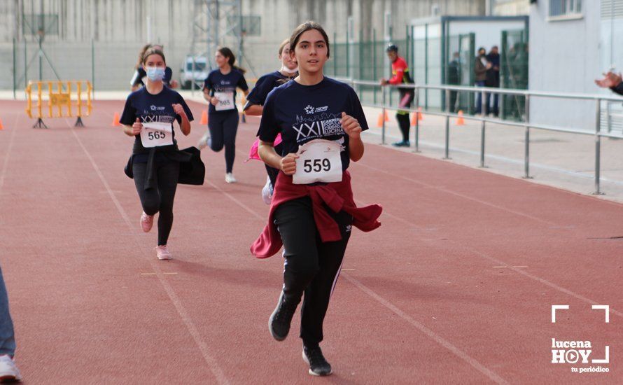 GALERÍA III: XXII Carrera Popular Ciudad de Lucena: Las fotos de la carrera cadete y juvenil y la reservada a personas con discapacidad