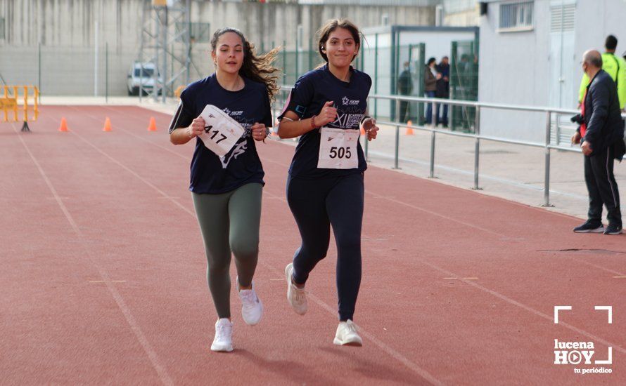 GALERÍA III: XXII Carrera Popular Ciudad de Lucena: Las fotos de la carrera cadete y juvenil y la reservada a personas con discapacidad GALERÍA III: XXII Carrera Popular Ciudad de Lucena: Las fotos de la carrera cadete y juvenil y la reservada a personas con discapacidad