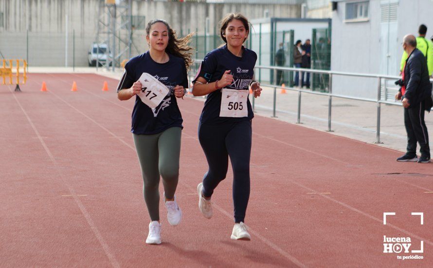 GALERÍA III: XXII Carrera Popular Ciudad de Lucena: Las fotos de la carrera cadete y juvenil y la reservada a personas con discapacidad