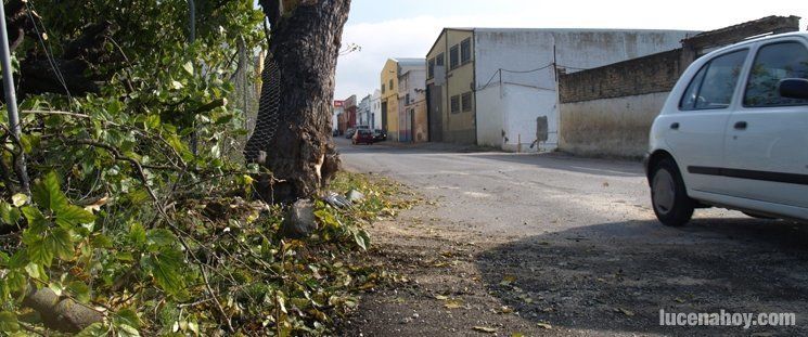  Fallece un hombre en accidente. No se descartan implicados 