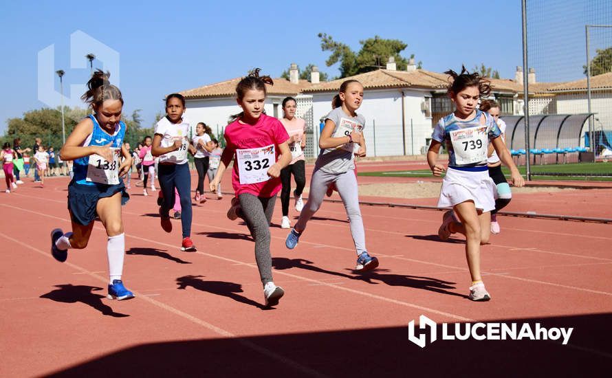 Varios niños compiten en la última edición de la Carrera Popular de Lucena. Archivo