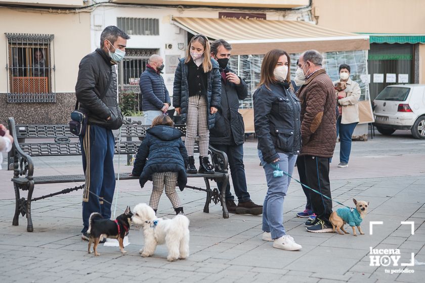 GALERÍA / VÍDEO: Perros, gatos, tortugas y periquitos reciben el agua bendita de San Antón a las puertas de Santiago GALERÍA / VÍDEO: Perros, gatos, tortugas y periquitos reciben el agua bendita de San Antón a las puertas de Santiago