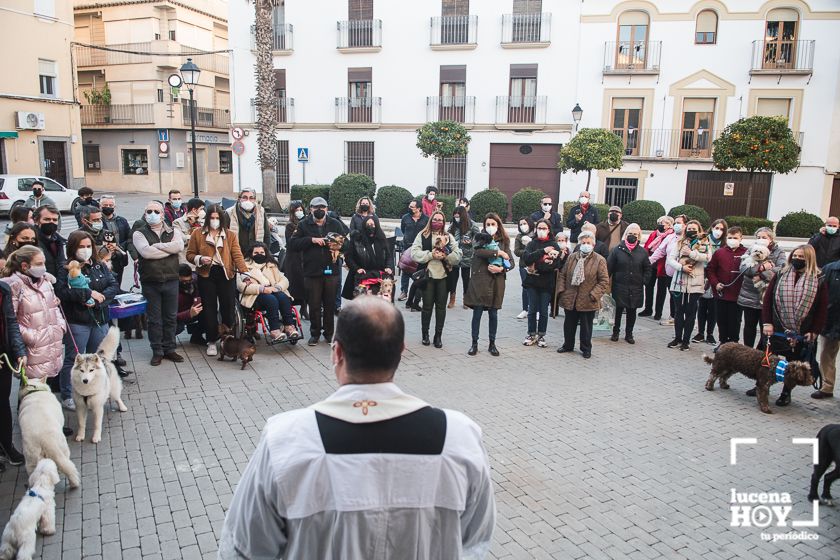 GALERÍA / VÍDEO: Perros, gatos, tortugas y periquitos reciben el agua bendita de San Antón a las puertas de Santiago GALERÍA / VÍDEO: Perros, gatos, tortugas y periquitos reciben el agua bendita de San Antón a las puertas de Santiago