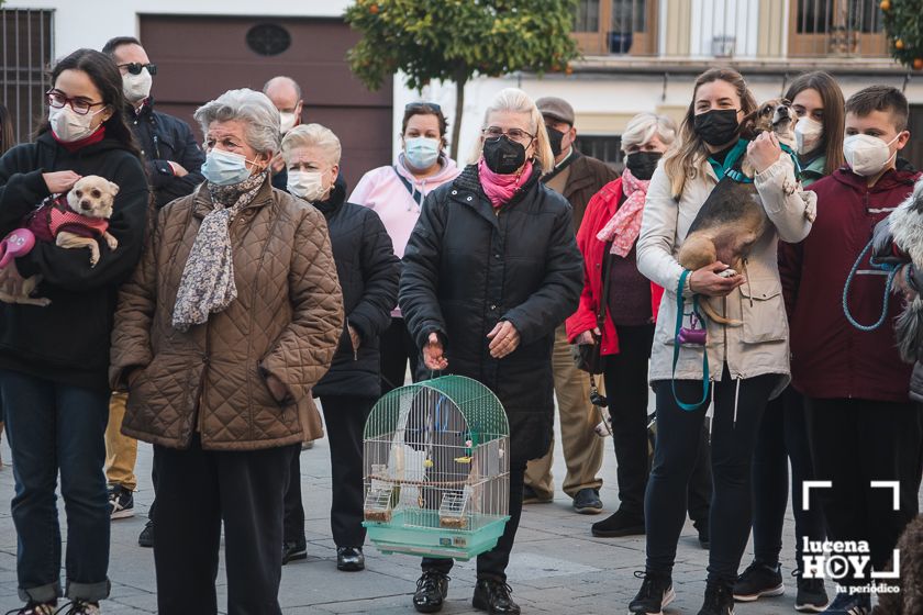 GALERÍA / VÍDEO: Perros, gatos, tortugas y periquitos reciben el agua bendita de San Antón a las puertas de Santiago