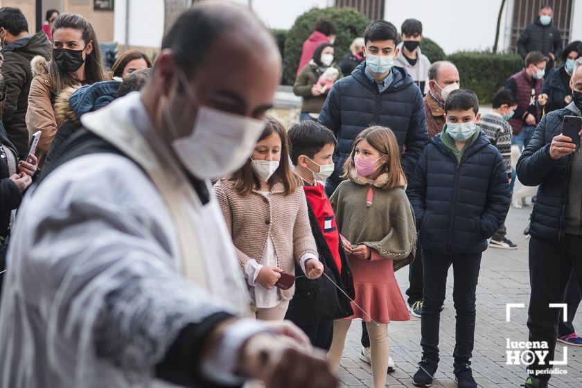 GALERÍA / VÍDEO: Perros, gatos, tortugas y periquitos reciben el agua bendita de San Antón a las puertas de Santiago