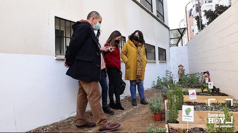  Huerto escolar del CEIP Virgen de El Valle 