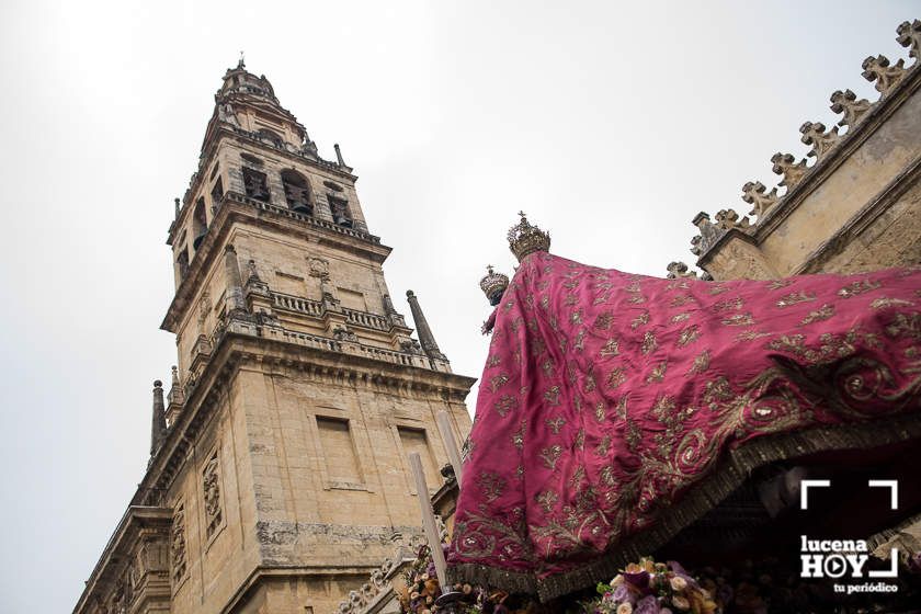 GALERÍA: Las fotos de una procesión histórica: La Virgen de Araceli conquista Córdoba