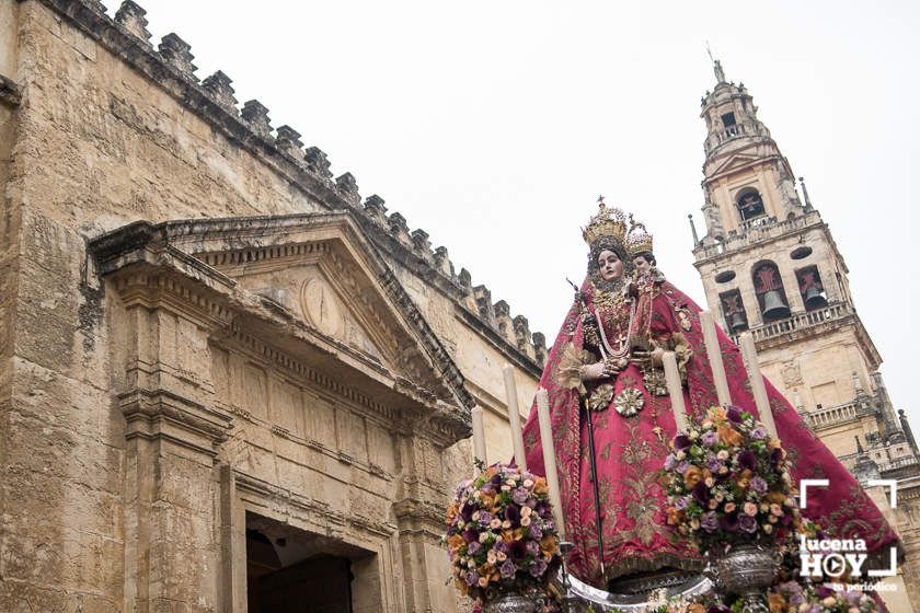 GALERÍA: Las fotos de una procesión histórica: La Virgen de Araceli conquista Córdoba