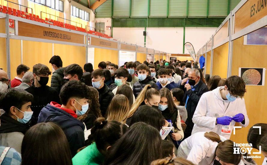 GALERÍA: Las fotos del Salón del Estudiante de Lucena, inaugurado esta mañana.