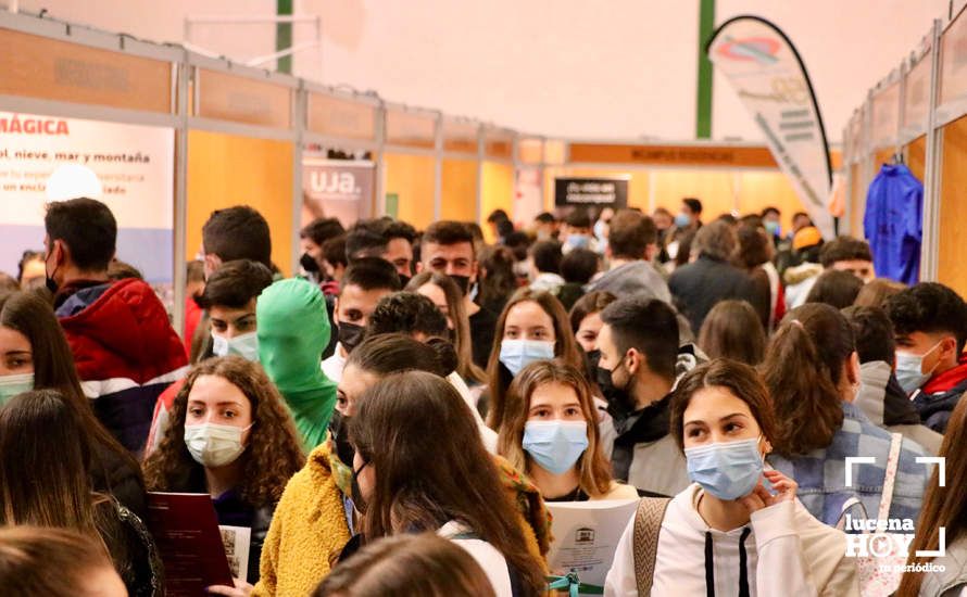 GALERÍA: Las fotos del Salón del Estudiante de Lucena, inaugurado esta mañana.