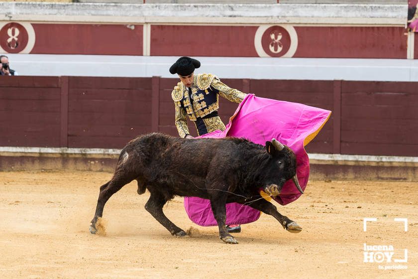 GALERÍA: Álex Mariscal derrocha oficio y maestría para llevarse por segundo año consecutivo el Bolsín Taurino de Lucena