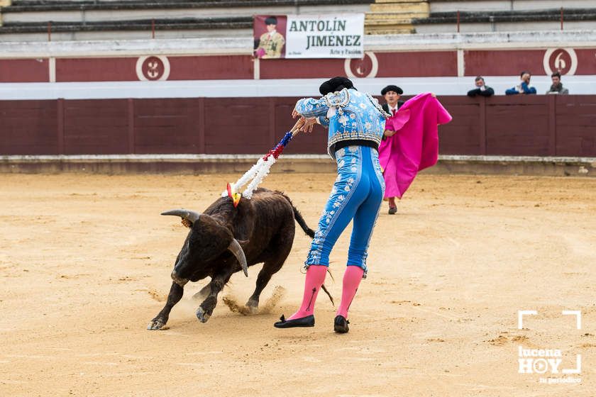 GALERÍA: Álex Mariscal derrocha oficio y maestría para llevarse por segundo año consecutivo el Bolsín Taurino de Lucena GALERÍA: Álex Mariscal derrocha oficio y maestría para llevarse por segundo año consecutivo el Bolsín Taurino de Lucena