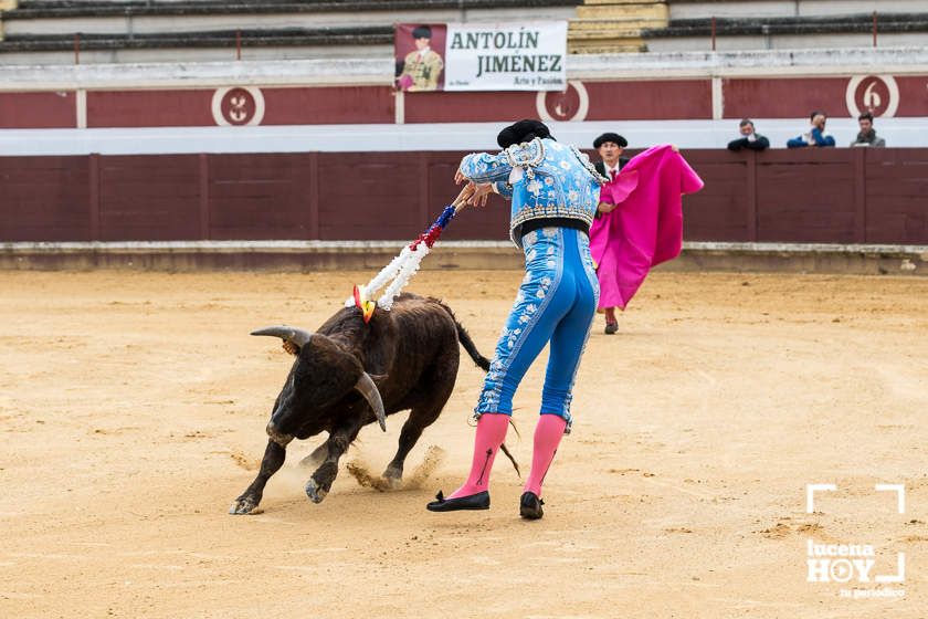 GALERÍA: Álex Mariscal derrocha oficio y maestría para llevarse por segundo año consecutivo el Bolsín Taurino de Lucena