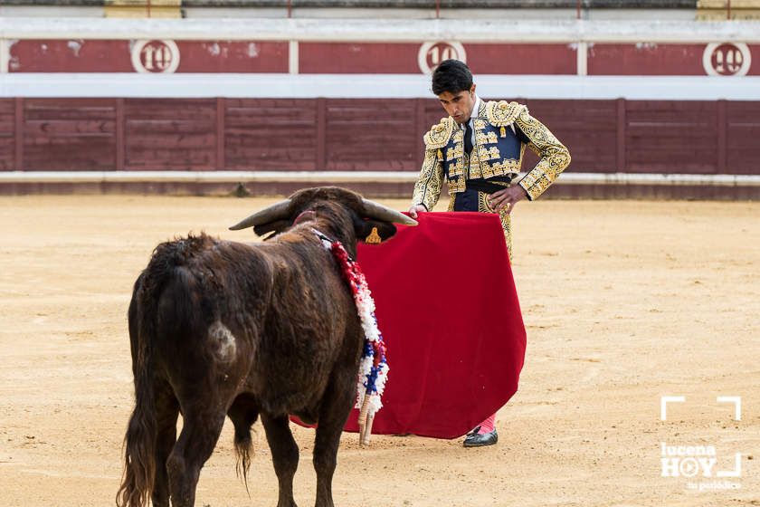 GALERÍA: Álex Mariscal derrocha oficio y maestría para llevarse por segundo año consecutivo el Bolsín Taurino de Lucena