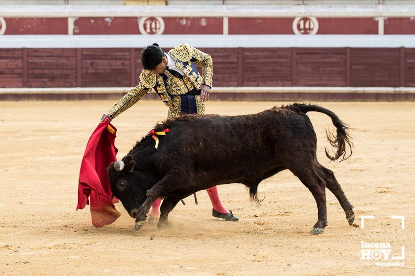 GALERÍA: Álex Mariscal derrocha oficio y maestría para llevarse por segundo año consecutivo el Bolsín Taurino de Lucena