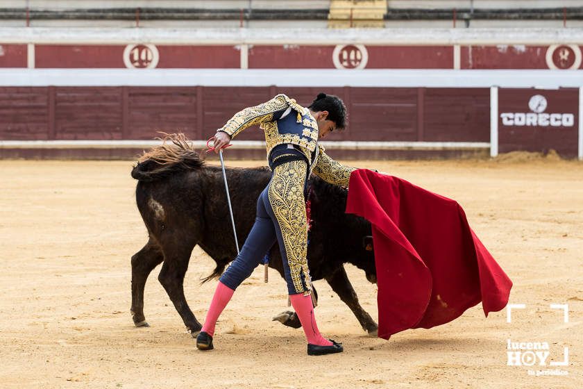 GALERÍA: Álex Mariscal derrocha oficio y maestría para llevarse por segundo año consecutivo el Bolsín Taurino de Lucena