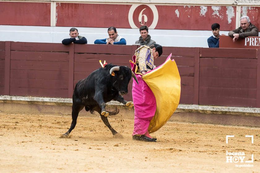 GALERÍA: Álex Mariscal derrocha oficio y maestría para llevarse por segundo año consecutivo el Bolsín Taurino de Lucena