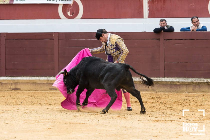 GALERÍA: Álex Mariscal derrocha oficio y maestría para llevarse por segundo año consecutivo el Bolsín Taurino de Lucena