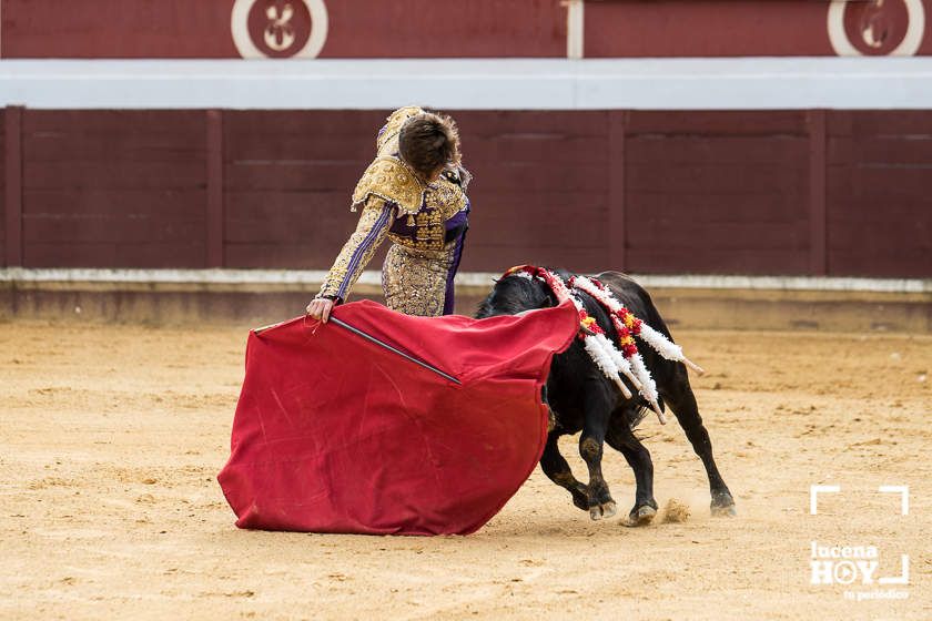 GALERÍA: Álex Mariscal derrocha oficio y maestría para llevarse por segundo año consecutivo el Bolsín Taurino de Lucena