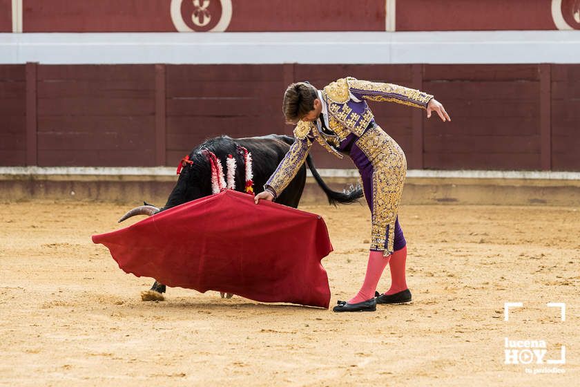 GALERÍA: Álex Mariscal derrocha oficio y maestría para llevarse por segundo año consecutivo el Bolsín Taurino de Lucena