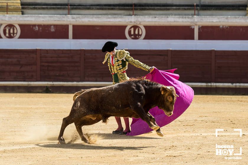 GALERÍA: Álex Mariscal derrocha oficio y maestría para llevarse por segundo año consecutivo el Bolsín Taurino de Lucena