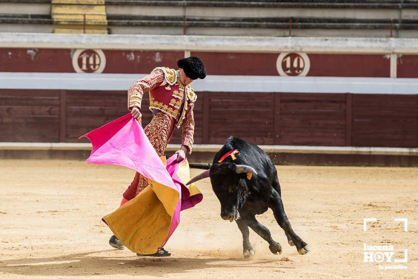 GALERÍA: Álex Mariscal derrocha oficio y maestría para llevarse por segundo año consecutivo el Bolsín Taurino de Lucena