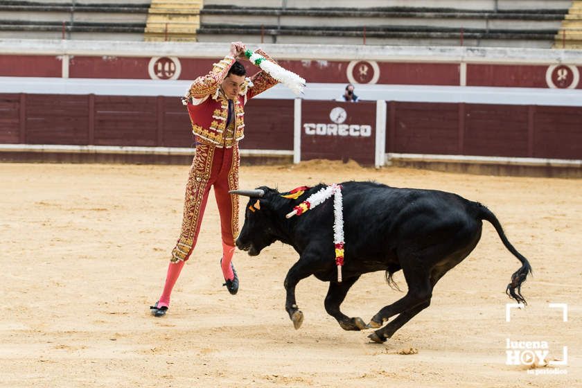 GALERÍA: Álex Mariscal derrocha oficio y maestría para llevarse por segundo año consecutivo el Bolsín Taurino de Lucena