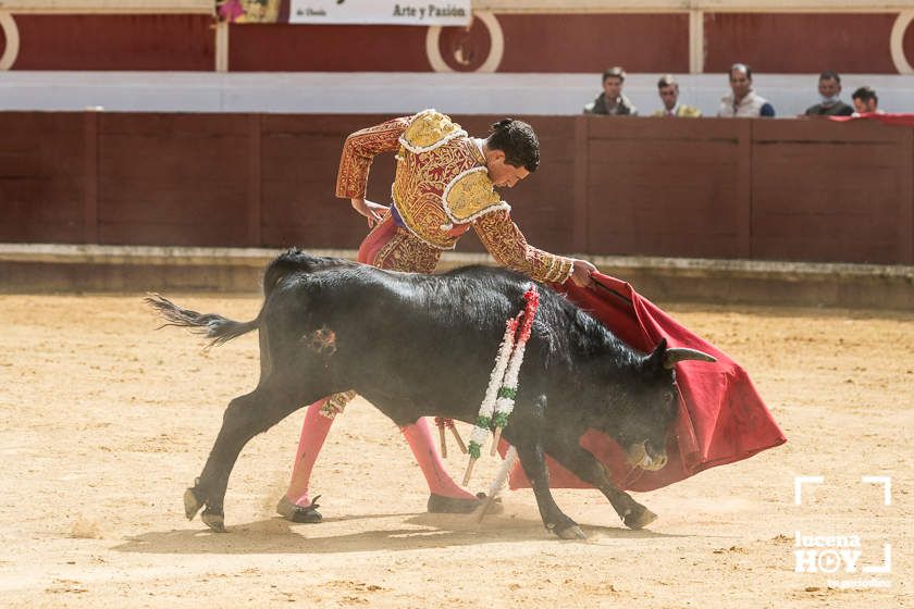 GALERÍA: Álex Mariscal derrocha oficio y maestría para llevarse por segundo año consecutivo el Bolsín Taurino de Lucena